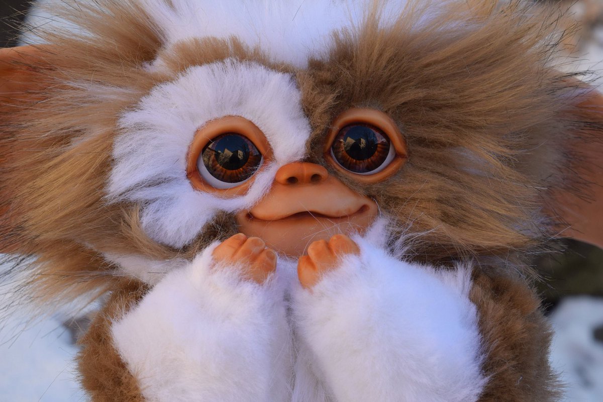 Excited to share the latest addition to my #etsy shop: #Gizmo #Mogwai #gremlins etsy.me/3s1oQjZ