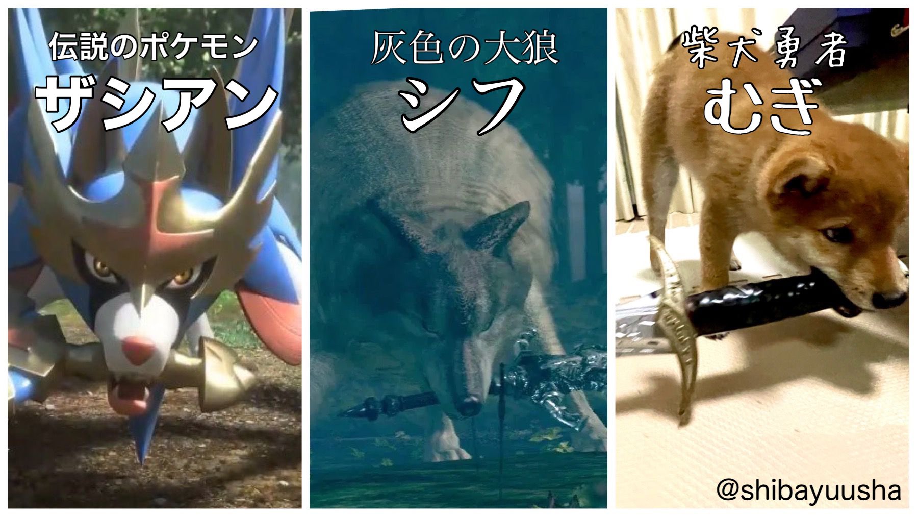 柴犬勇者むぎまる 1歳11ヶ月 Lv23 伝説のポケモン ザシアン ポケモン ソード シールド 灰色の大狼 シフ ダークソウル 柴犬勇者むぎ 生後4ヶ月 柴犬 柴犬の日 T Co Kpmndcprlk Twitter 柴犬勇者むぎまる 1歳11ヶ月 Lv23 伝説のポケモン ザシアン ポケモン ソード シールド 灰色の大狼 シフ ダークソウル 柴犬勇者むぎ 生後4ヶ月 柴犬 柴犬の日 T Co Kpmndcprlk Twitter