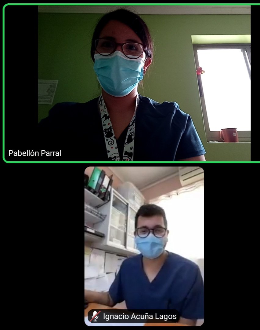 RNAO Parral tweet media