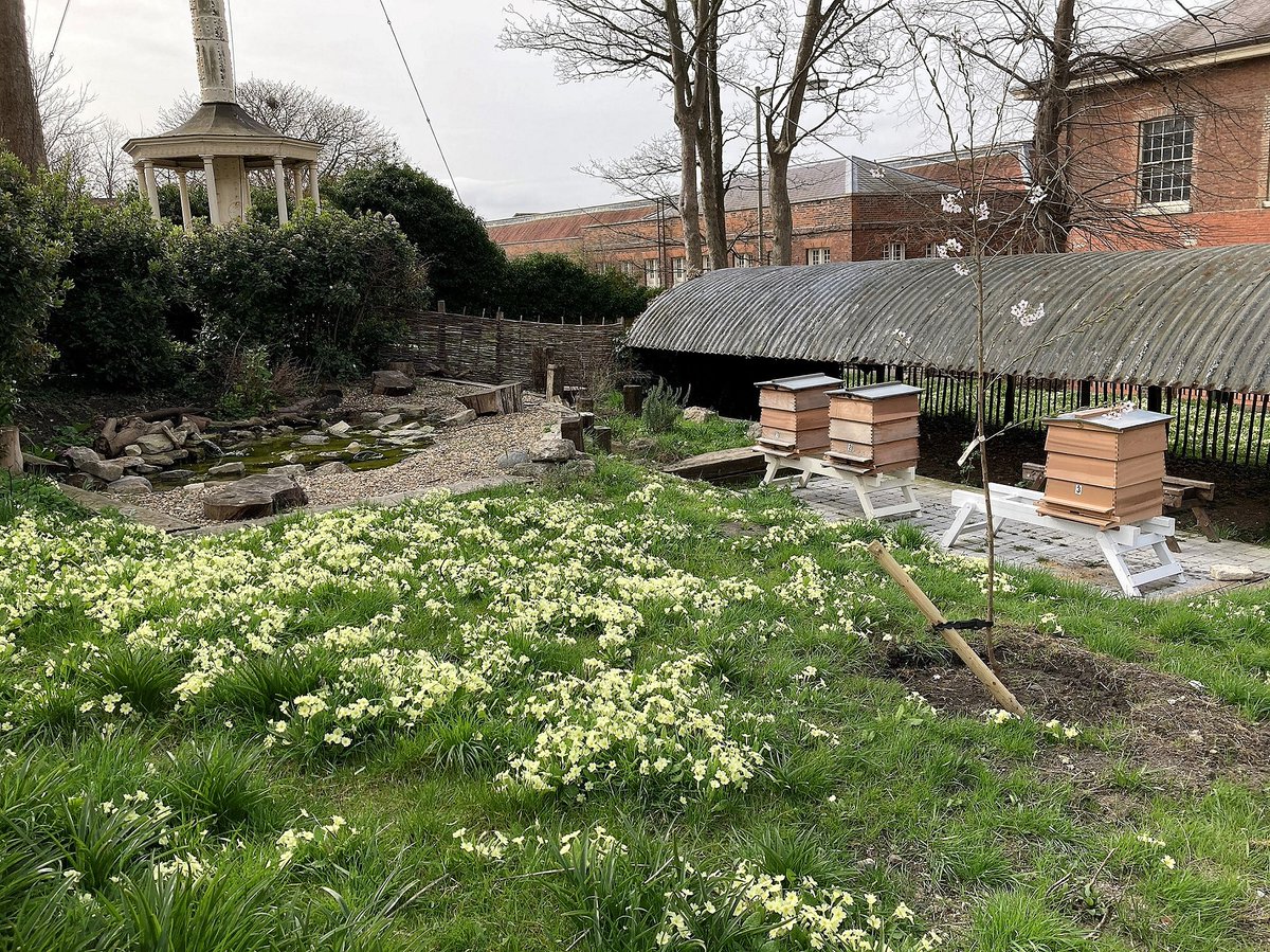 #CommunityGardenWeek is being celebrated across the UK and what better way to mark it than to catch-up with our volunteer #beekeepers and find out how the Dockyard’s very own colony is ‘buzzing’ along. 

Find out more in our latest blog: bit.ly/3dOjALs