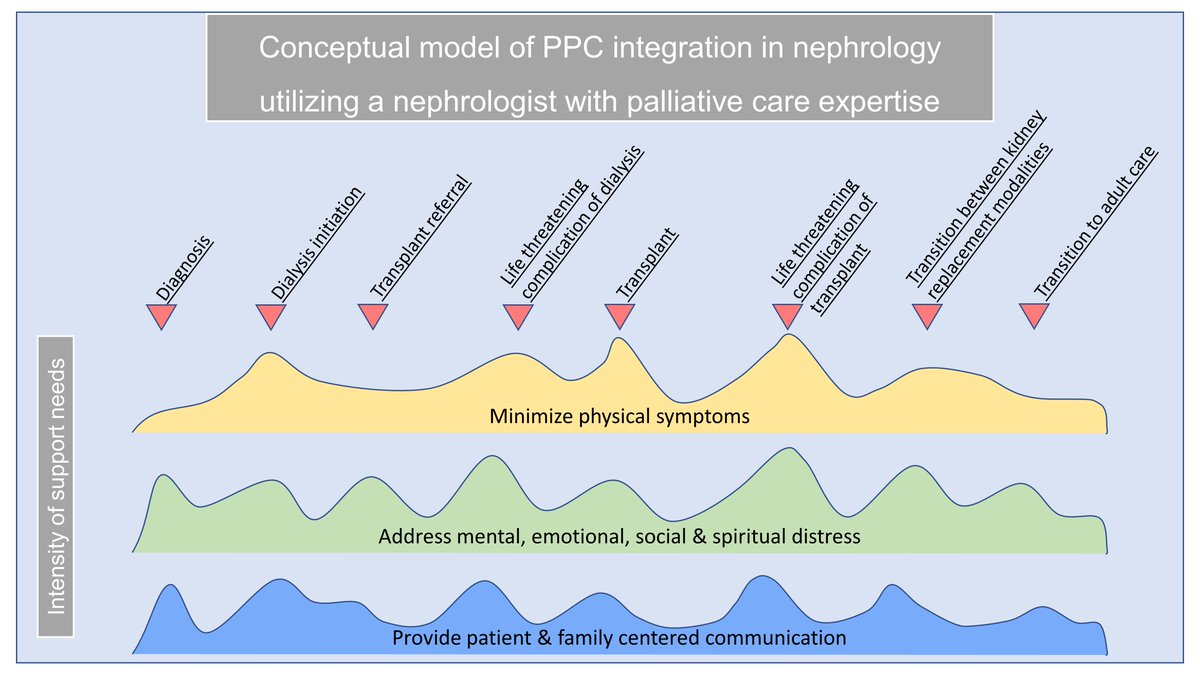 Pediatric palliative care is an evolving field that has yet to be integrated into nephrology practice. This review highlights the unmet need in pediatric nephrology and compares the state of palliative care in adult nephrology and chronic pediatric disease bit.ly/KID0000282021