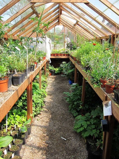 Applications for the nursery traineeship are open. The chosen trainee will spend 16 months in the nursery at Great Dixter learning from the team of experienced and knowledgeable staff who work there. More info at: greatdixter.co.uk/news/the-nurse…