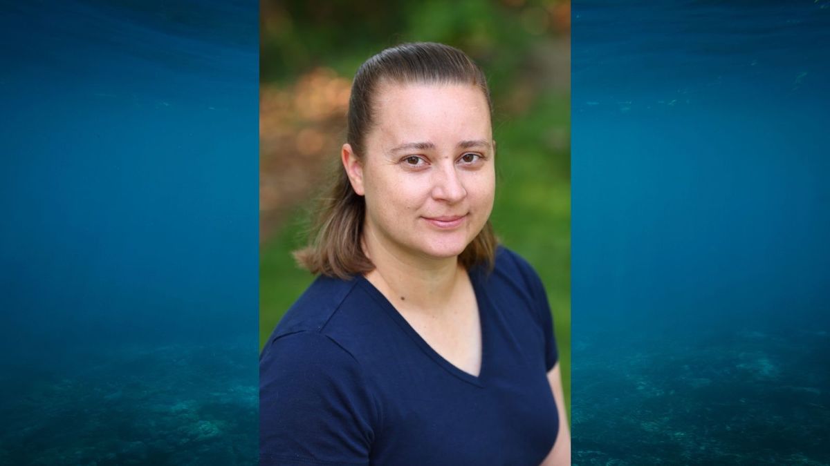 URI Graduate School of Oceanography (@urigso) on Twitter photo Join Dr. Sylvia Cole of <a href="/WHOI/">Woods Hole Oceanographic Institution (WHOI)</a> on Friday 4/9 at 10:30amET for a new Physical Oceanography seminar! Dr. Cole will discuss changes in mixed layer properties due to storms and interannual changes to the Arctic system.
Details ➡️ow.ly/7bXG50EhEug Join Dr. Sylvia Cole of <a href="/WHOI/">Woods Hole Oceanographic Institution (WHOI)</a> on Friday 4/9 at 10:30amET for a new Physical Oceanography seminar! Dr. Cole will discuss changes in mixed layer properties due to storms and interannual changes to the Arctic system.
Details ➡️ow.ly/7bXG50EhEug