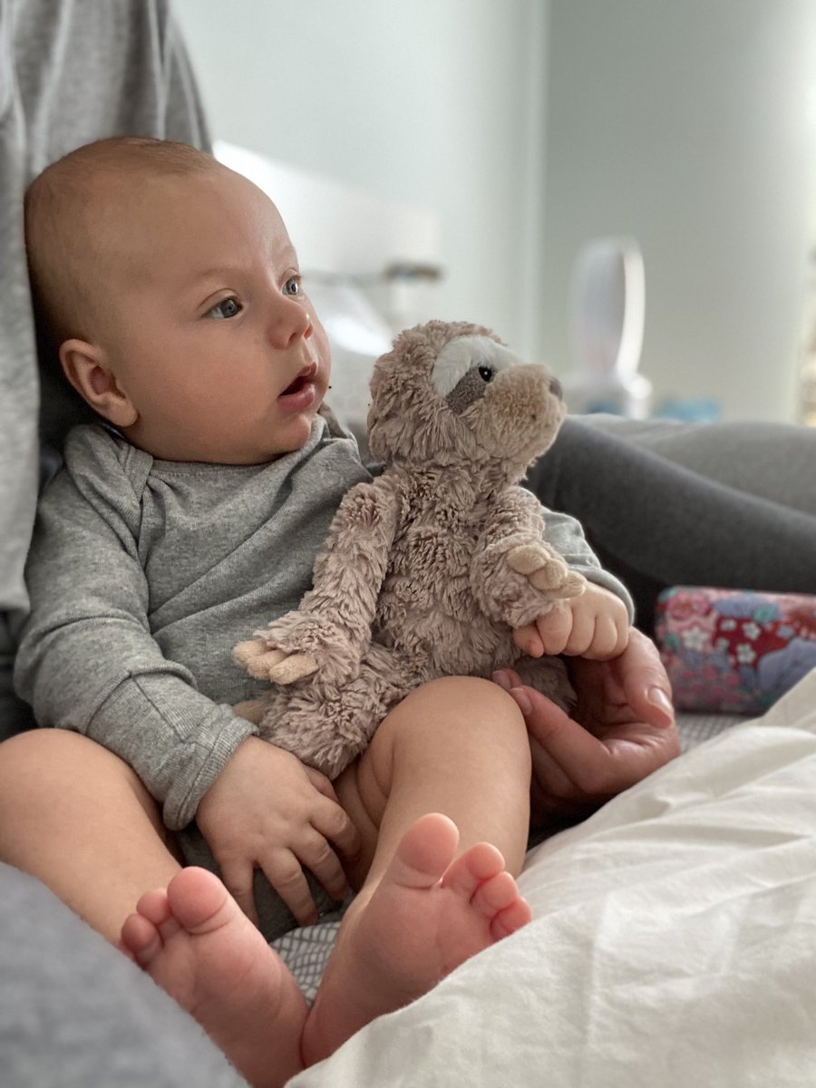 lisagushue's tweet photo. Parker baby watching @breakfasttv this morning! Can’t believe he is 11 weeks old now ☺️ https://t.co/dlBU8gznqT