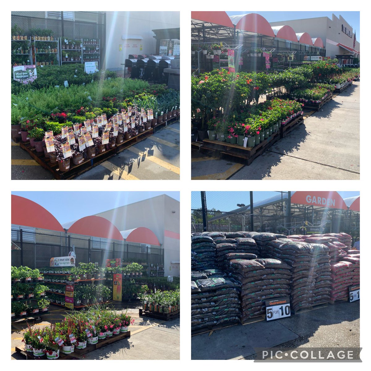Garden 501 is ready for spring 2021. Rocking front apron standards 👍🏻. Making 501 💪🏻. <a href="/KadeKasner/">Kade</a> <a href="/idrissi_mary/">mary el idrissi</a> <a href="/DebraThibodeau7/">Debra Thibodeaux</a> <a href="/sutton3409/">Justin sutton</a> @Jerry_Smith_Jr <a href="/kjl265/">Kevin Leitz</a>