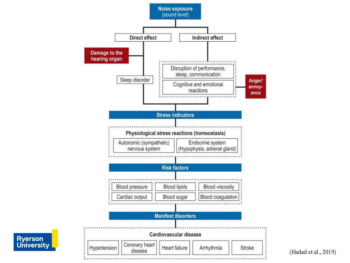 This is the general pathway developed to represent the effects of noise disturbance on health, direct and indirect  #researchinfocus