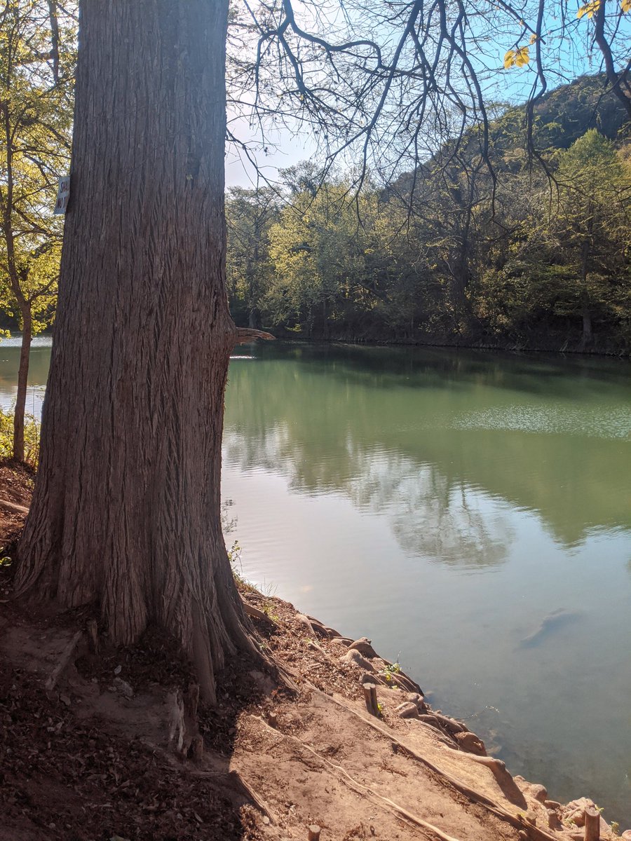 Lumilins | Lins tweet media