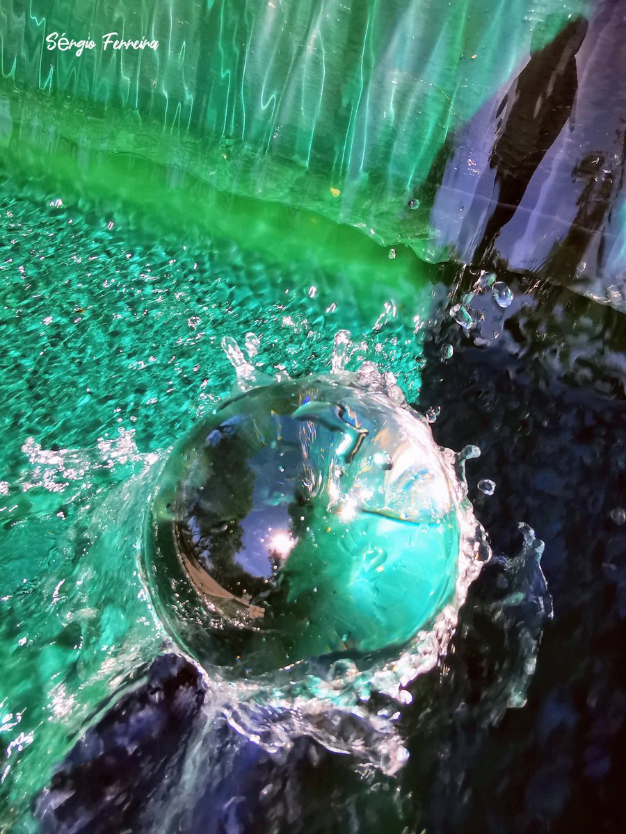 sergio383's tweet photo. Huawei P30 Pro with Caruba Lensball
O batismo da bola....😁 https://t.co/PkLnRUvgnW