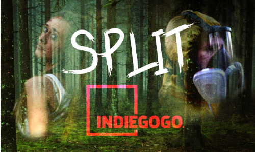 HypericumFilms's tweet image. We've just launched an @Indiegogo campaign for our new #shortfilm #Split Please visit indiegogo.com/projects/split…
 #SpreadtheHorror @ShareTheHorror #NonprofitHorror 
@PromotionHorror