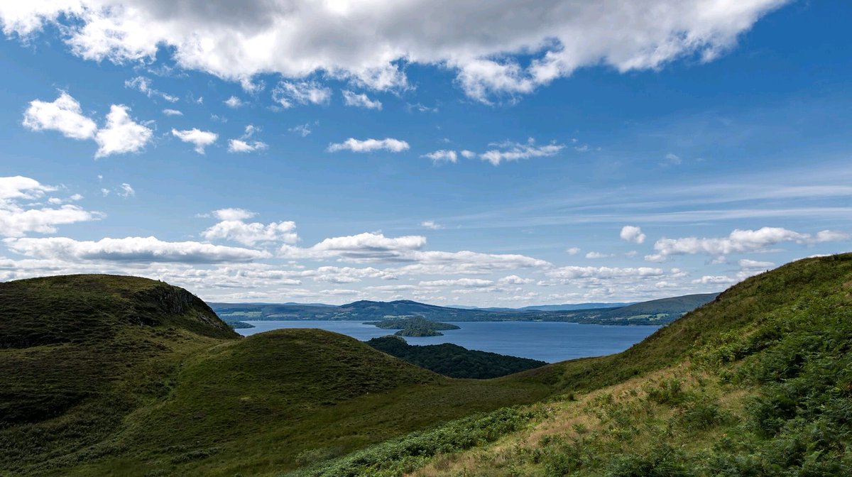 Chauffeursystem's tweet photo. Welcome to 5 new companies live on our chauffeur drive system in April, 5 more trees planted in our grove. So this month we welcome 4 chauffeur companies in the UK and 1 in Canberra in Australia. Watch out world, here we come 🌎🌳https://t.co/Y1fbZ6z1vW https://t.co/9OOyUfnCsi
