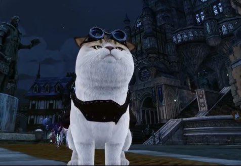 JuliVolh's tweet image. Дико залипаю в игру одну и короче мне там подарили ОГРОМНОГО ЕЗДОВОГО КОТА Боже я сейчас умру