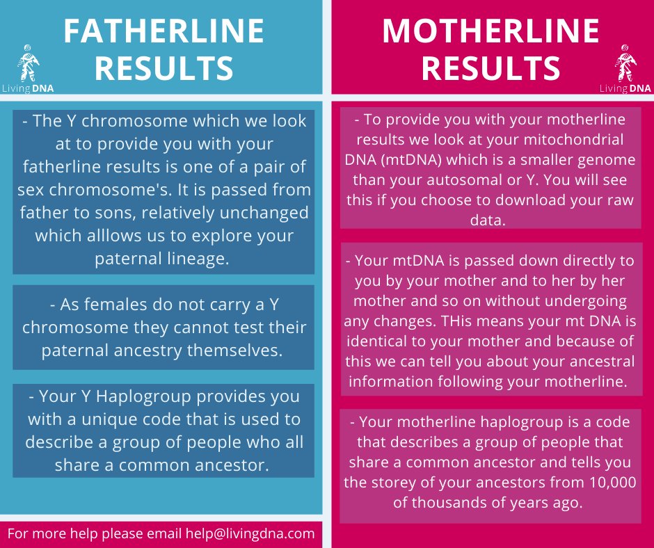 Living DNA tweet media