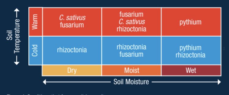 Vicki Lawrence tweet media