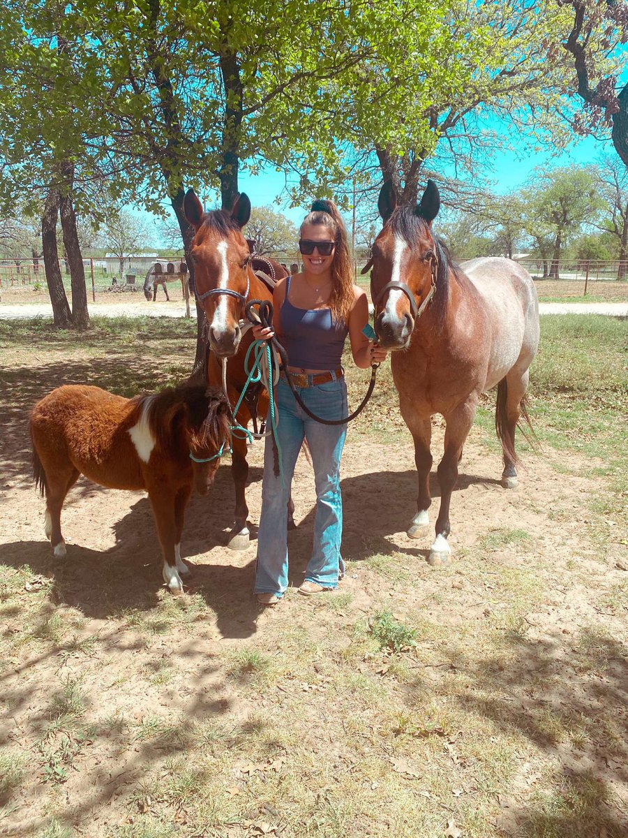 TSUDeltaChi's tweet photo. Best of luck to one of our Sweethearts, Lindsey Behring, who will be competing in the barrels at the Howard College Rodeo in Big Spring, TX!🐎 https://t.co/otrmCe2Q7J