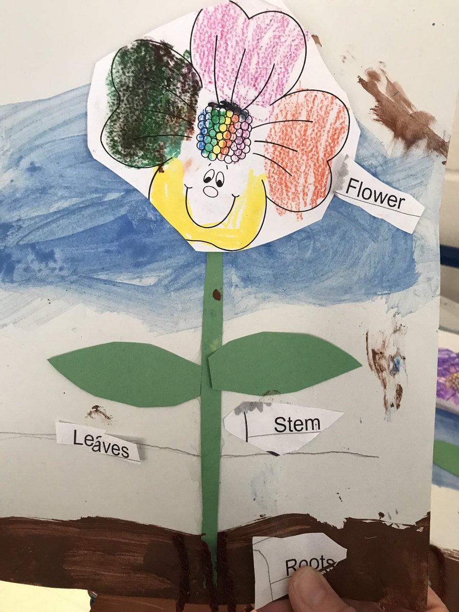 JenniferBachhub's tweet photo. Parts of a 🌸 flower. ⁦@MmeFerguson⁩ ⁦@FJMcDonaldOCSB⁩ https://t.co/YGeYjntXQO