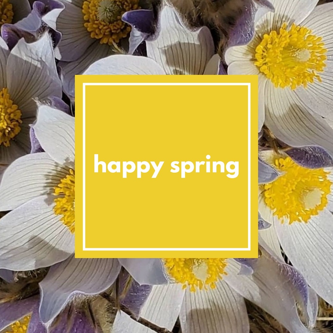 Happy Spring from CIY🌷

conta.cc/31UZOsd