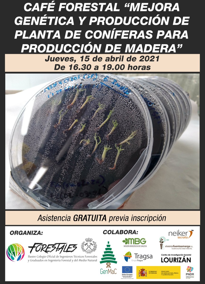 ¡Aún estás a tiempo de inscribirte en el #CaféForestal “MEJORA GENÉTICA y PRODUCCIÓN de PLANTA de #CONÍFERAS para PRODUCCIÓN de #MADERA”.!

 Jueves, 15 de abril, de 16.30 a 19.00 h.

GRATUITA previa inscripción.

Más info 👇👇👇👇
forestales.net/Canales/Ficha.…