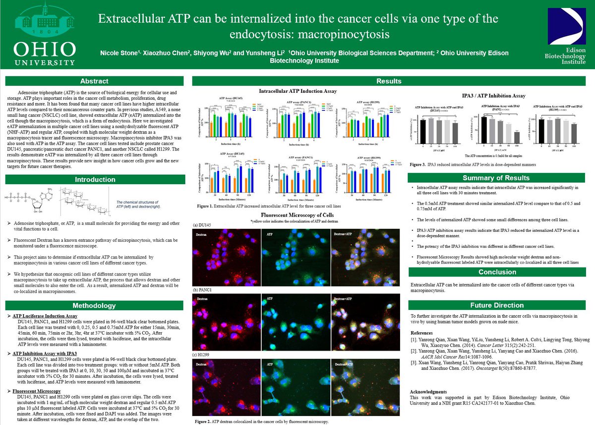 nic_stoneee's tweet photo. #OUVirtualExpo @bobcatsdiscover @ohiobiosciences @EBI_OU @OHIOHonors 

Since July 2020, I have had the amazing opportunity to do undergraduate research under Dr. Yunsheng Li at Ohio University’s Edison Biotechnology Institute and I could not be more grateful for this experience! https://t.co/TF8z6KLW92
