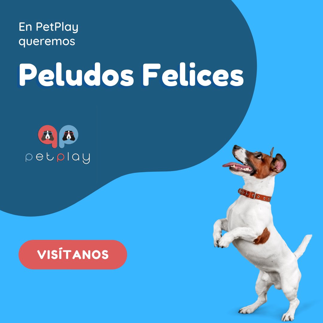 Conoce nuestro Hotel para Perros 🐶

En #PetPlay sabemos lo importante que es tu mascota para ti y que cuando sales de vacaciones quieres que se quede contento y que se sienta como en casa. 

Más información 📲 55 8556 4838