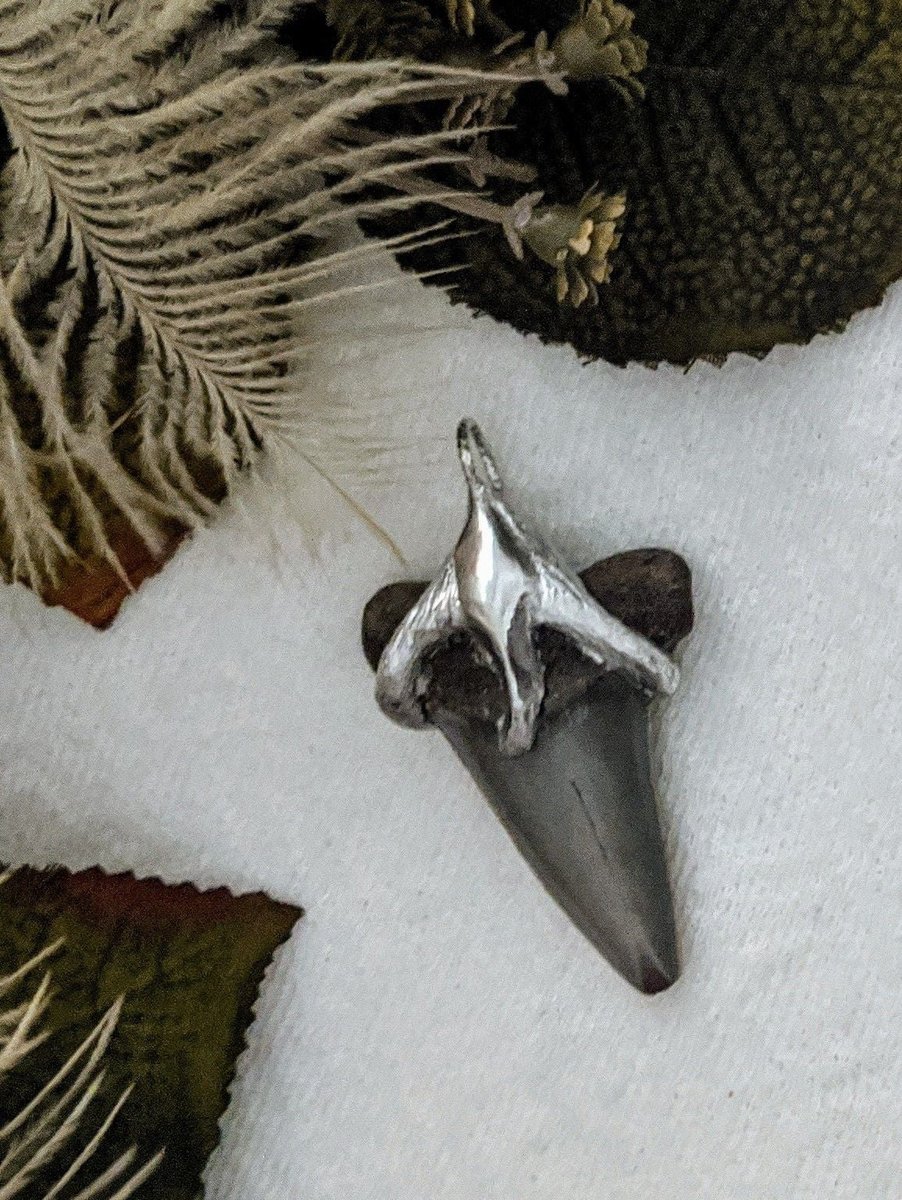 chestnutcrochet's tweet photo. Sharing for Debbie Whitaker on Etsy
Really love this, from the Etsy shop OneOfaKindHardToFind. https://t.co/7Mbybjzokq #etsy #artisancrafted #handmade #handcrafted #argentiumsilver #sterlingsilver #fossilized #sharkstooth #gray #grey https://t.co/WkTkvq7aqP