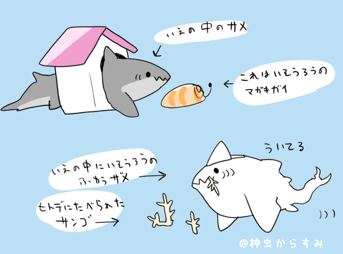 ふゆうサメ #ウチのふかふか 