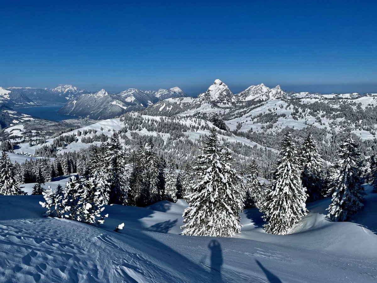 buddli's tweet photo. Es gibt mehr als Corona und Arbeit. Den Moment nutzen, wenn er das Potential für unvergessliche Erinnerungen hat. Morgendliche #Skitour #MySwitzerland #DestinationBlue #Powderskiing https://t.co/nOAyHTs7rG
