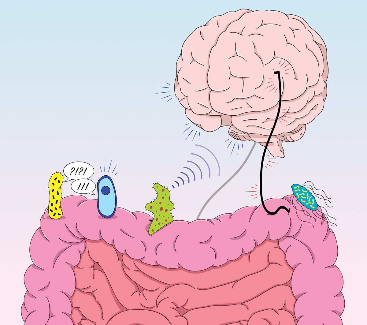 DondersSessions's tweet photo. A tasty topic for next week's #DondersSession: "Gut Microbiome and Immune influences on Brain and Behaviour", by @stherAarts and @mevanderschaaf!
Join us Thursday 15 April 10:00 (CET) @DondersInst https://t.co/5BrO5Iiv3d https://t.co/wS1wiZqzhk