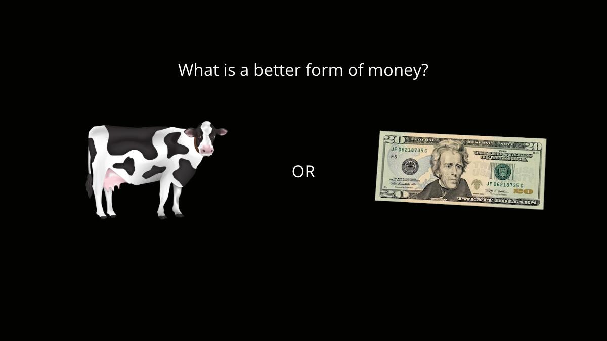 “What is a better form of money? A Cow or a $20 Bill?”Understanding the 6 properties of money helps answer this question.