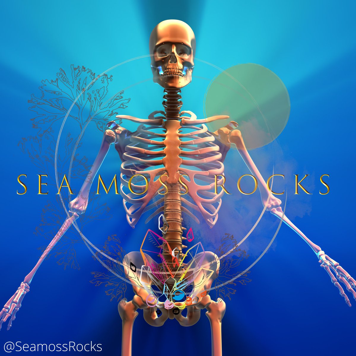 SeamossRocks tweet media