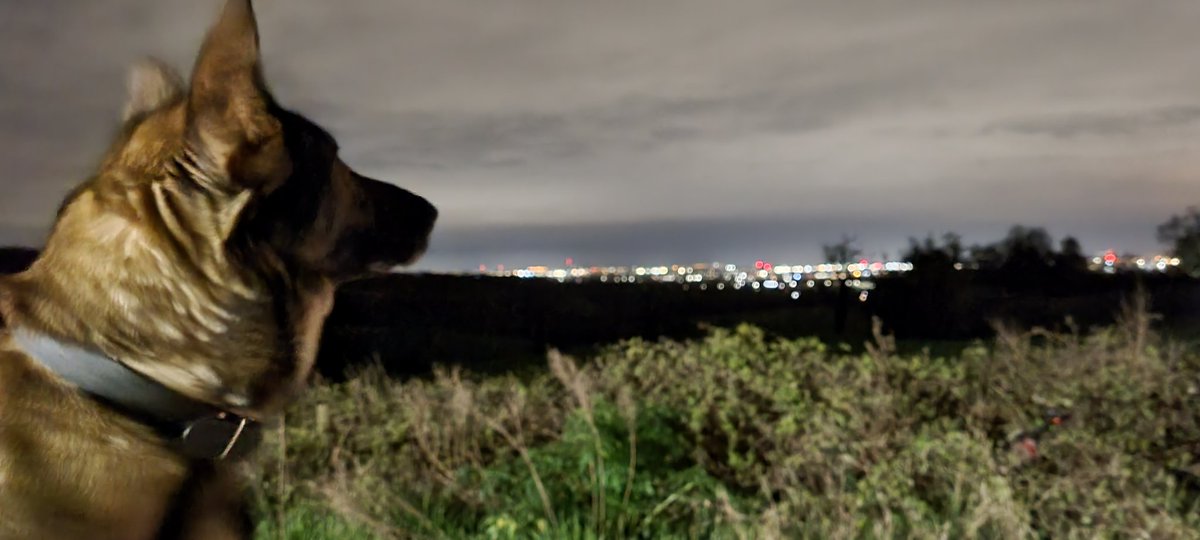 dodgiedave's tweet photo. #citylife Keeping Watch #nightduty https://t.co/jb08bcUKHC