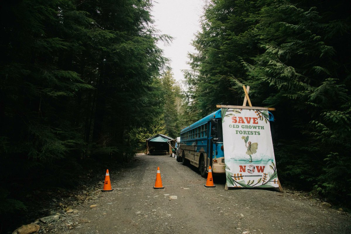 ColeSupporting's tweet image. 