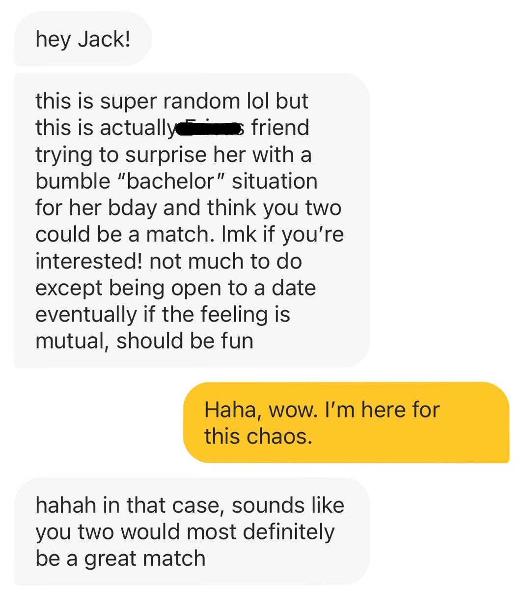 ALRIGHTY.So let's talk about the whole Bumble Bachelor process first. She gave me the rundown of the whole thing her friends went through.Here's that original message that started this ridiculousness.