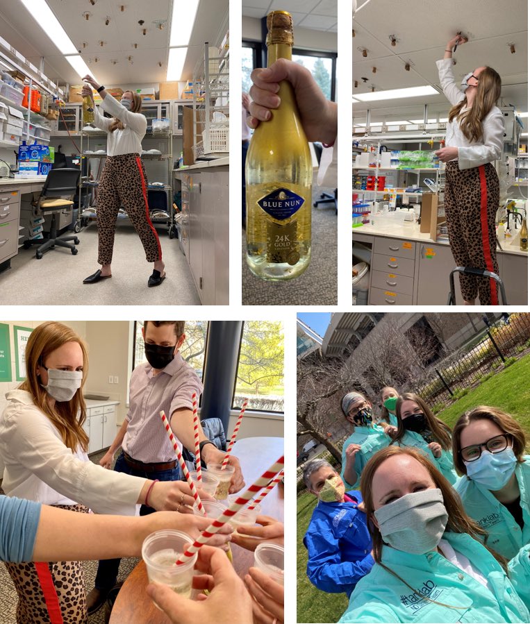 jenniferltank's tweet photo. So proud to congratulate Dr. Shannon Speir on her awesome dissertation defense (last week)! Been slow to make my photo-collage but she’ll always be lucky PhD15 of the #tanklab https://t.co/XEjkzv1ai3