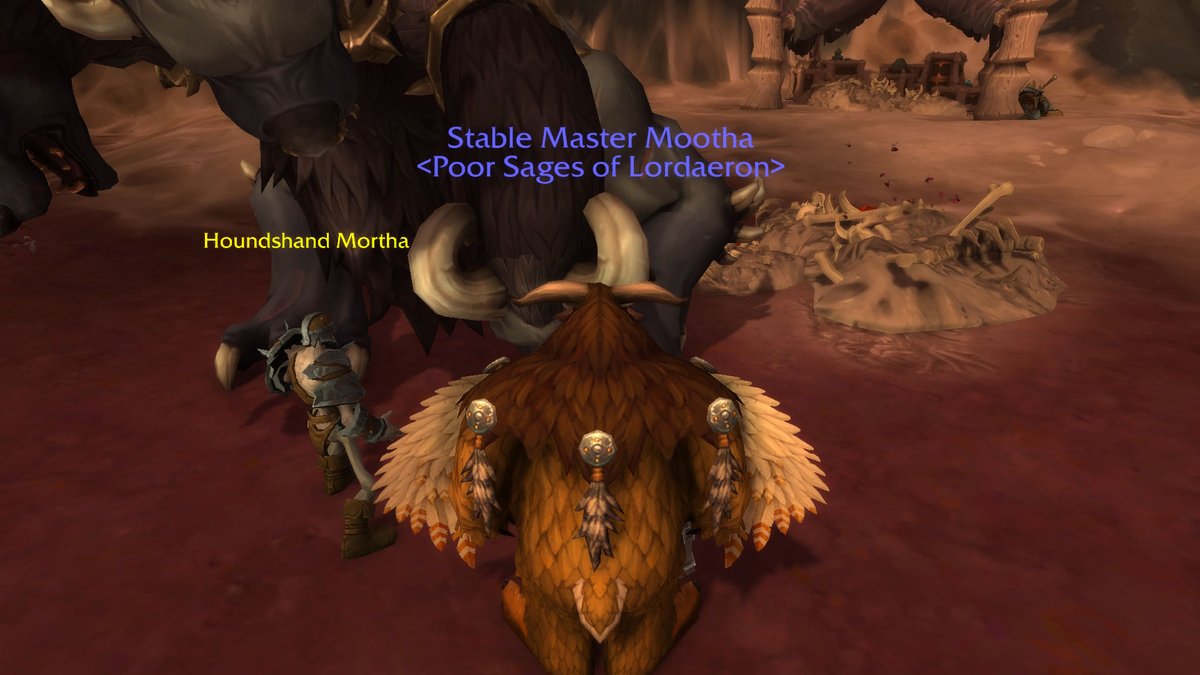 LoisseOfLothar's tweet photo. Mortha the Houndshand meets Mootha the Druid in World of #Warcraft! #Maldraxxus #HouseoftheChosen #WoWSelfie https://t.co/EJ65HN58vb
