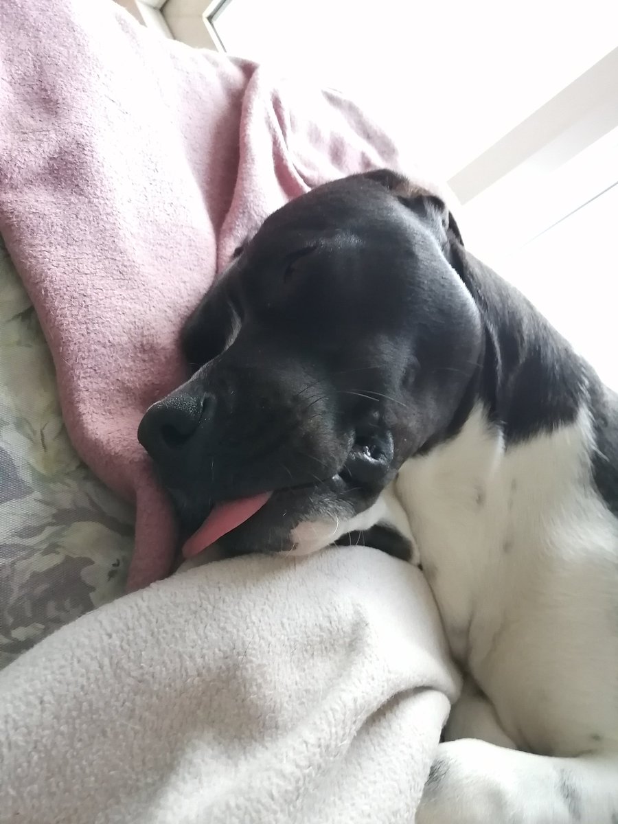 Hıhı anlat canım dinliyoyum