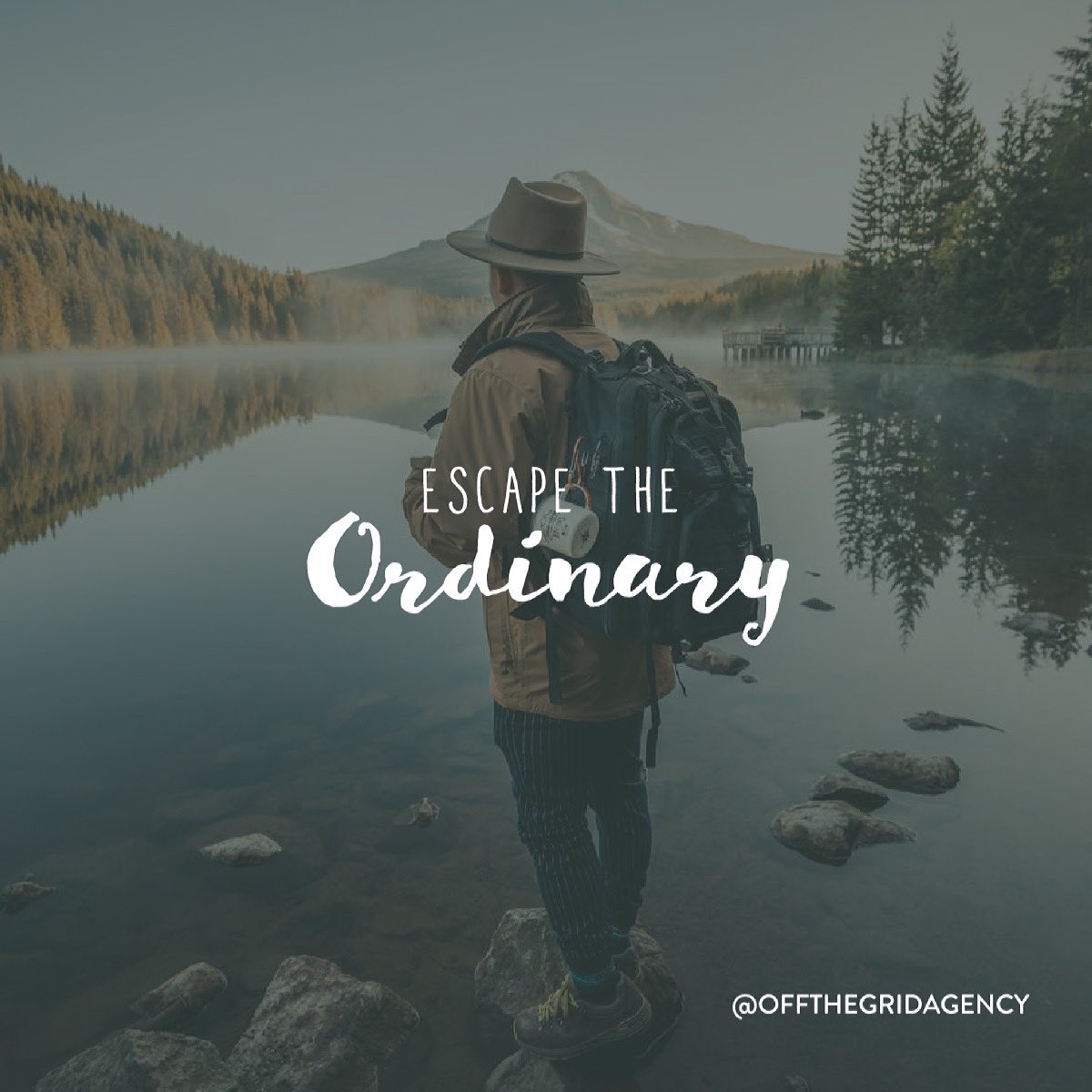 Off The Grid Agency tweet media