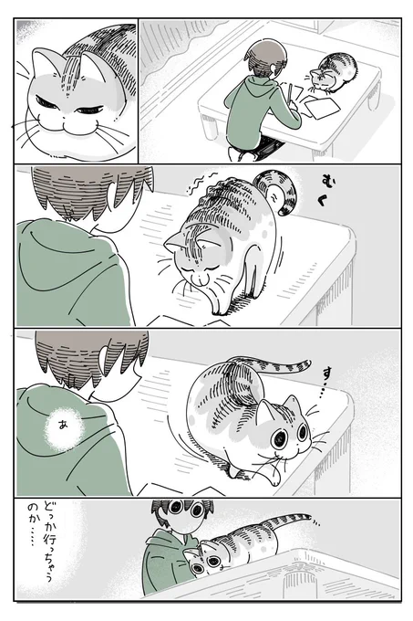 座り直すネコ
https://t.co/nSBjbHqSd5 