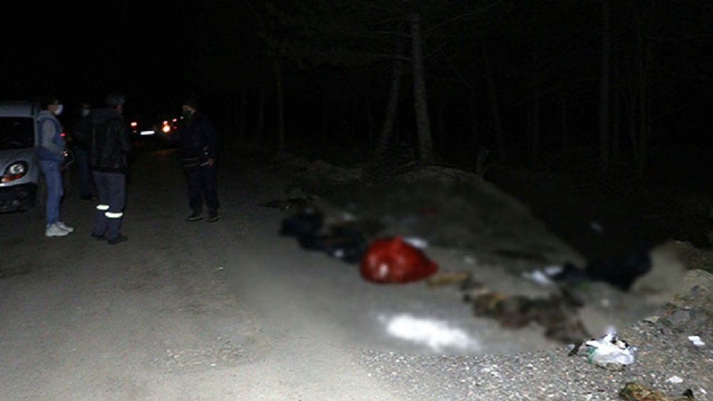 Ankara'da, patilerinde damar yolu açmak için kullanılan intraket (damar içi borucuk) bulunan 30'un üzerinde köpek, çöp poşetlerinin içerisine konulup atılmış halde ölü bulundu.