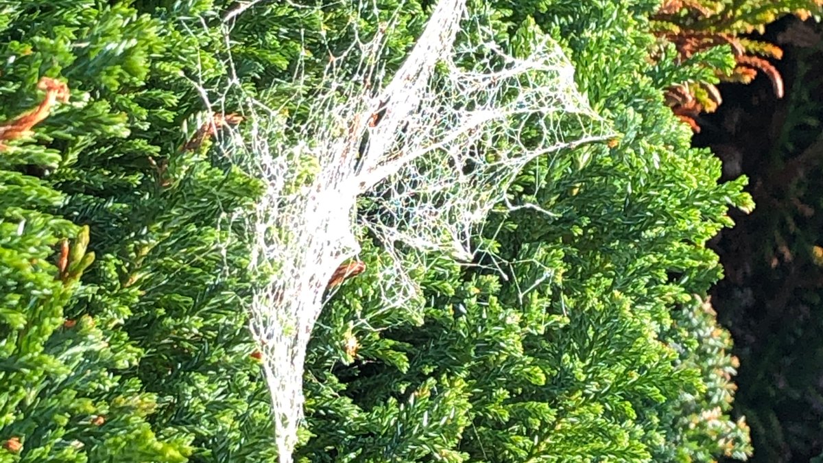 At least today's temperature was in double figures so that a walk was quite enjoyable!