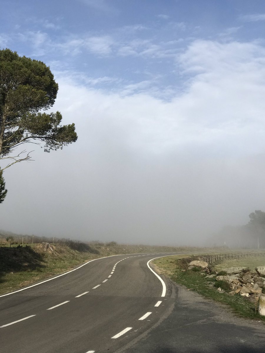 Ese momento en el que entras a Twitter para comprobar que efectivamente, Instagram ha caído