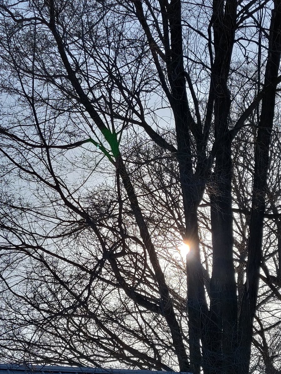 Zantarok's tweet photo. Been a long time since I posted on twitter. Here's some pretty pictures.
#Indiana #spring https://t.co/43dZTPOfVs
