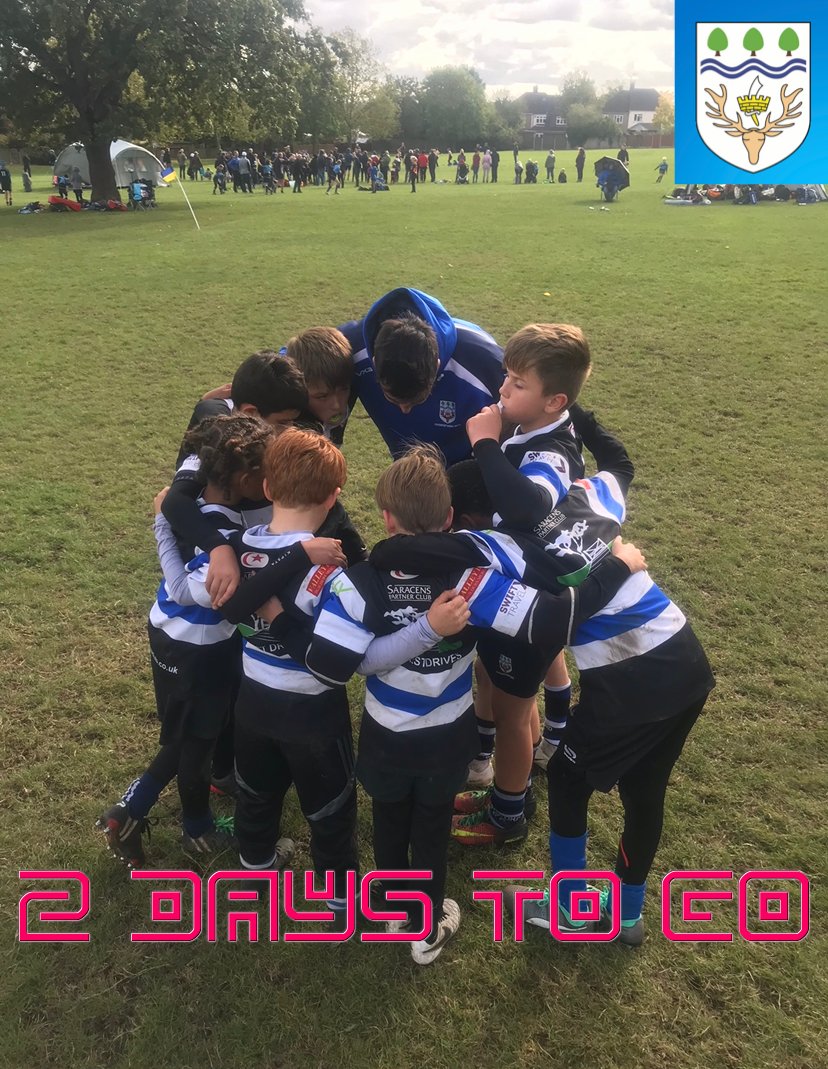 ChingfordRFC's tweet photo. The Return of youth & Minis Rugby.
2 Days to go!!
#Excited #ReturnToRugby #ChingfordRugby #Chingaway https://t.co/ormrQ7UEvs