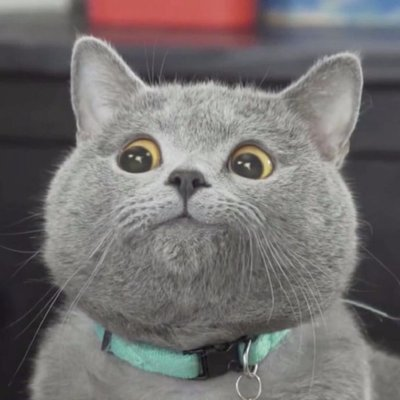 cari910's tweet image. 