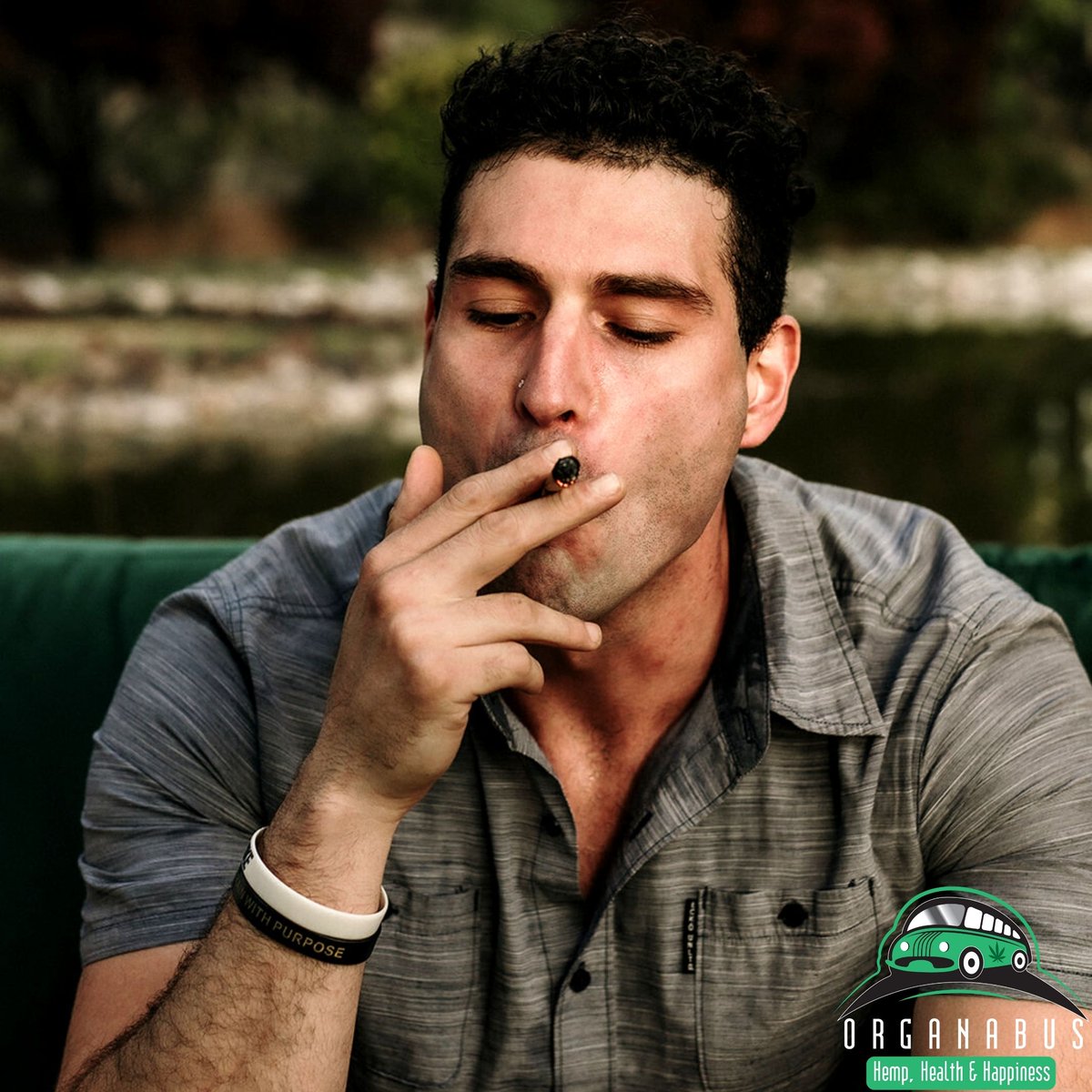 OrganabusCBD's tweet photo. Toke a smoke #Thursday is here and #Organabus has everything that you need as you head into the #weekend 🤯

For all of your C🐝D needs, visit https://t.co/NwoHXy3coN

#hemp #health #happiness #cbdhealth #vape #smoke #weedstagram #newyearnewme #cbdblog https://t.co/EdGUCymo6a