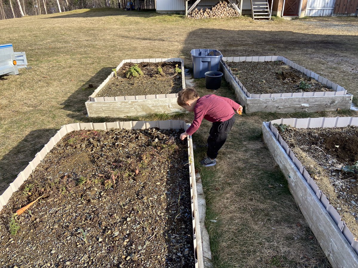 Dan Jeddore tweet media