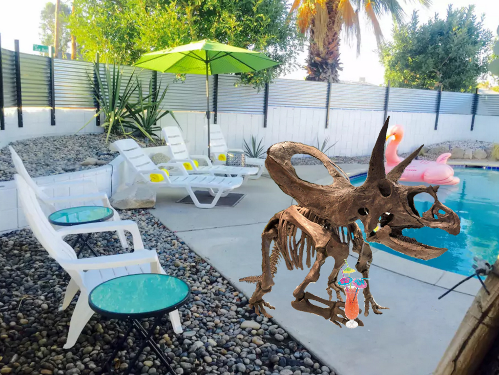 TTorosaurus's tweet photo. Took a break from Twitter for a little self care. Sometimes these old bones just need a private pool, umbrella drinks, and a few moments of self reflection. Recharged and ready for the fame that comes with being a super rare fossil. #HotFossilSummer https://t.co/KgFMMClKKV