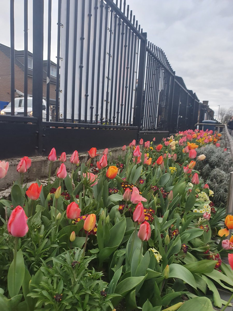 mollyrsimpson's tweet photo. We are thinking of doing our own #CaptainTom100 challenge of doing 100 laps of perimeter road but would need as much help as we could get. 

So twitter, would anyone be up for joining us and completing a couple of laps? 💭🤔

@GleaveShannon @chlorobs97 https://t.co/nluJq7lWxQ