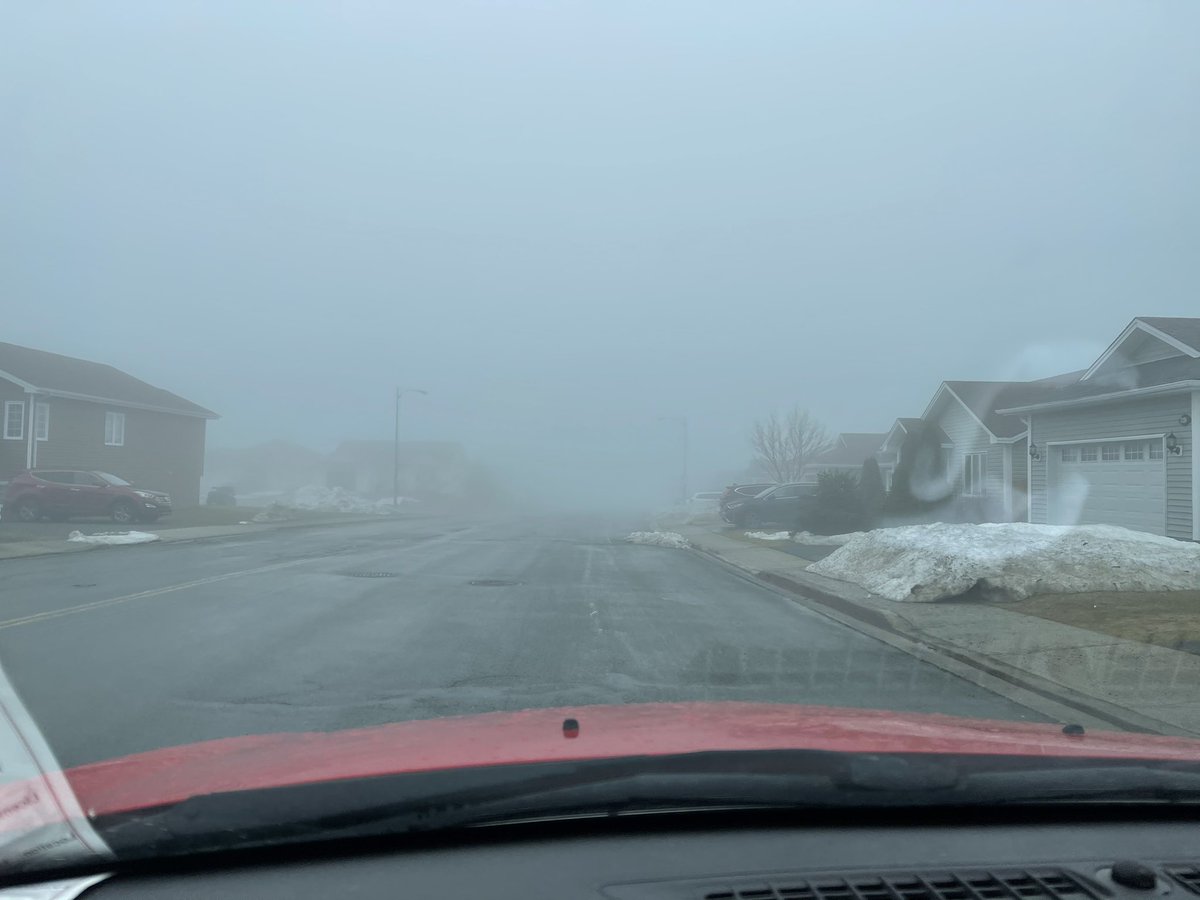 McgrathDevon's tweet photo. Really wishing this fog would #fogoff - I think this is day 5 or 6 under this fog cloud in St. John’s (I’m beginning to lose track) 🤦🏻♂️ https://t.co/IL16YS73XA