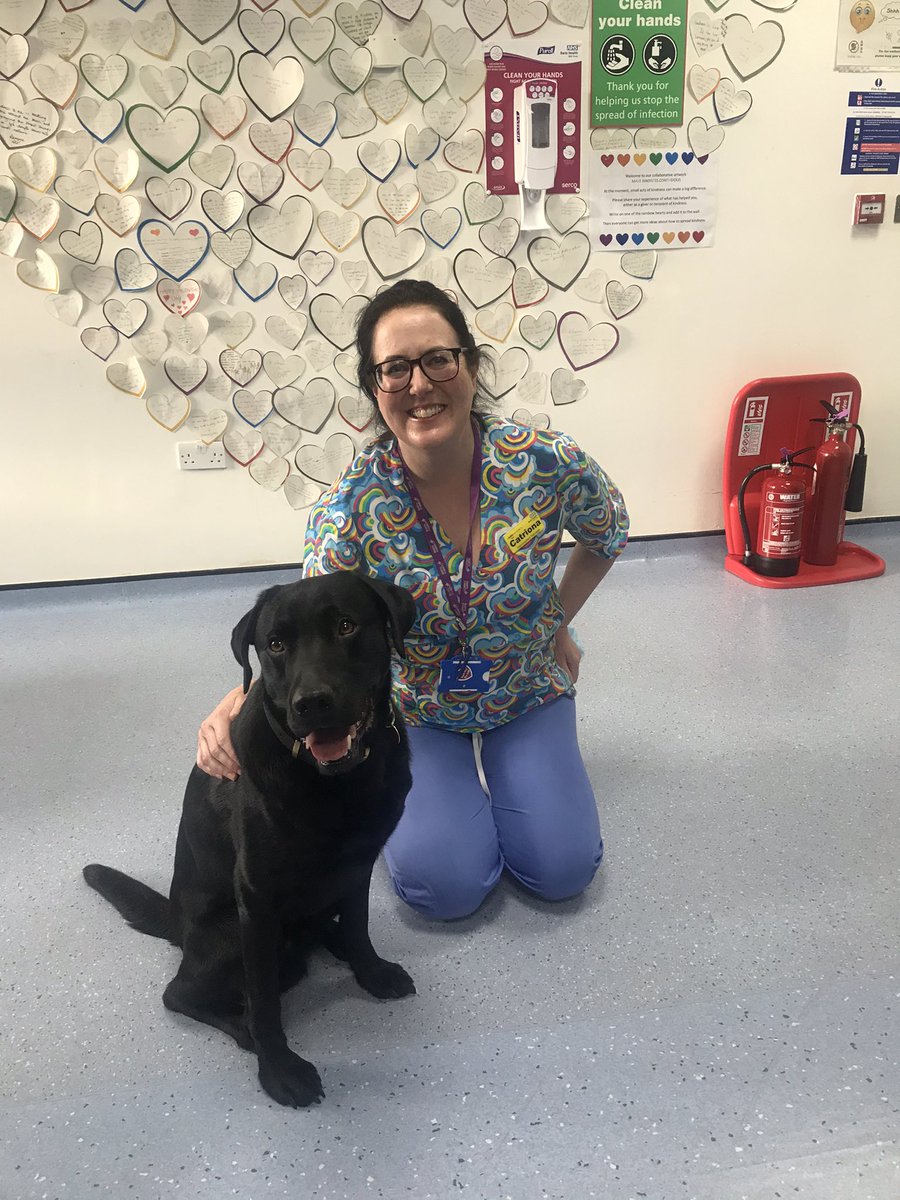 CatrionaRowland's tweet photo. @loispayne26 @Thomas27Mary @NewhamHospital @SaraHiles9 @sjardiniano1 @estheraby02 @NewhamICU Adorable 🐶🥰🥰🤩 https://t.co/jhNOurEidf