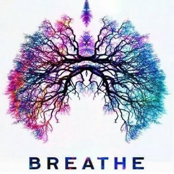 ayurholistika's tweet image. Dont forget to just breathe!! 🌬 #meditation #breathe #oxygenislife ayurveda